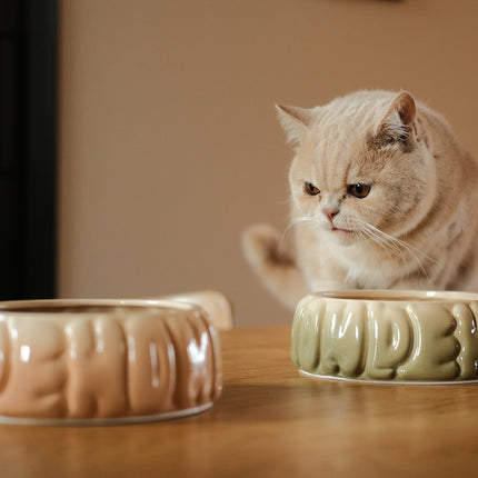Cat looking at two ceramic bowls on a wooden table