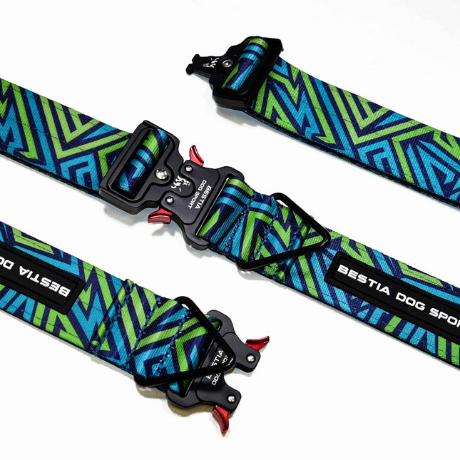 Blue and green patterned dog collar with black hardware on a white background