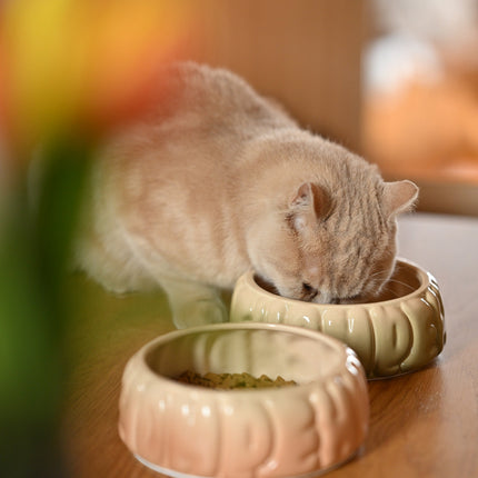 Cat eating from a ceramic bowl on a wooden table