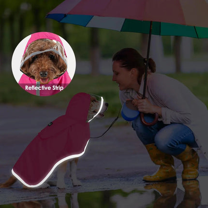 Woman with a dog wearing a reflective raincoat on a rainy day.