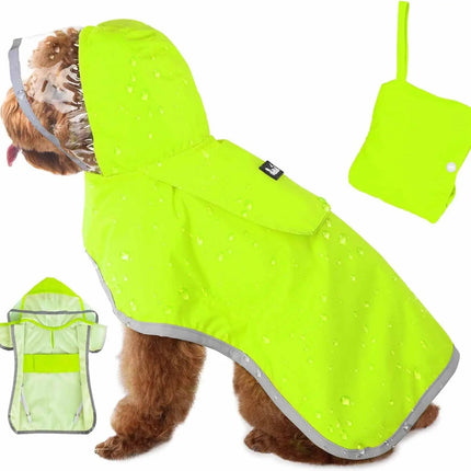 Dog wearing a bright green raincoat with reflective stripes on a white background