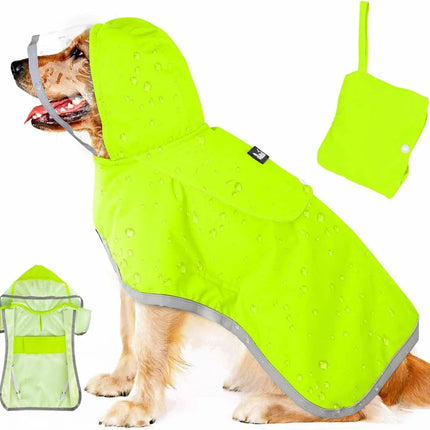 Dog wearing a bright green raincoat with matching head cover on a white background