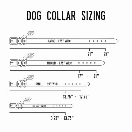 Leather Dog Collar - Designer