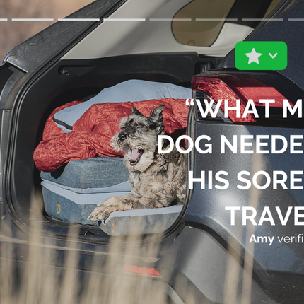 Dog lying on a blue pet bed in the back of a vehicle with text overlay.