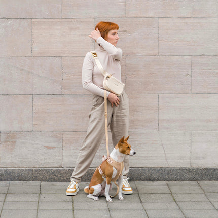 Woman walking a dog on a leash against a stone wall.