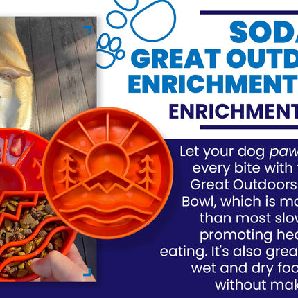 Dog with a Sodapup Great Outdoors Enrichment Bowl on a wooden floor.