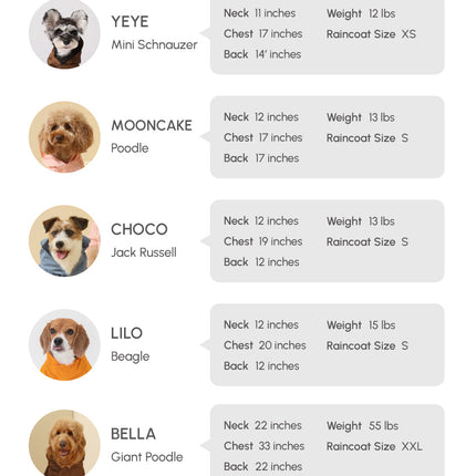 List of dog breeds with their respective measurements and raincoat sizes on a white background.
