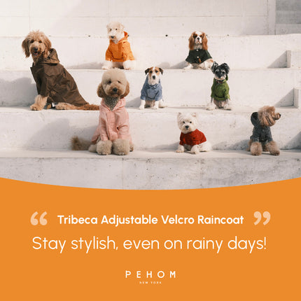 Group of dogs wearing colorful raincoats on a white staircase with PEHOM branding.