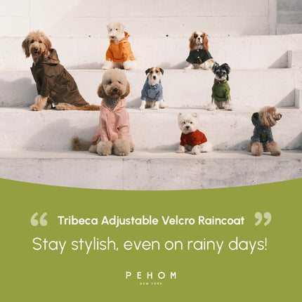 Group of dogs wearing colorful raincoats on a white staircase with PEHOM branding and product description.