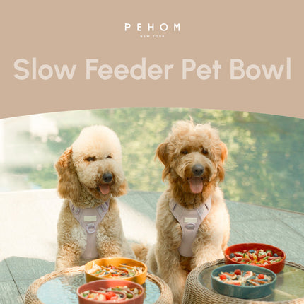 Two dogs sitting at a table with bowls of food, featuring the brand 'PEHOM'.