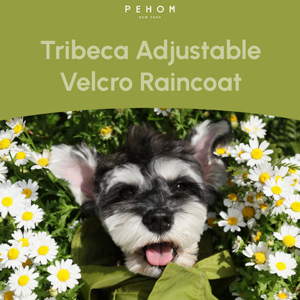 Dog wearing an olive green raincoat surrounded by flowers with 'PEHOM' branding.