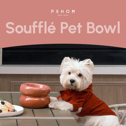 Dog wearing a red sweater next to a souffle-shaped pet bowl with 'PEHOM' branding.