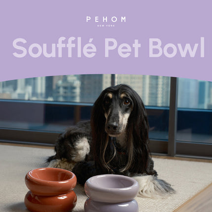 Dog lying on a rug with two pet bowls in front of it, against a cityscape background.