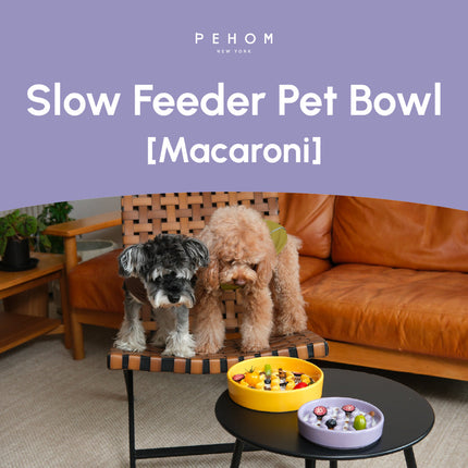 Two dogs standing on a chair with a yellow slow feeder pet bowl in front of them.
