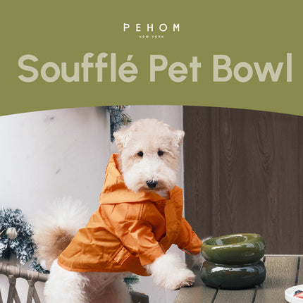 Dog in an orange coat with a green 'Souffle Pet Bowl' and 'PEHOM' branding.