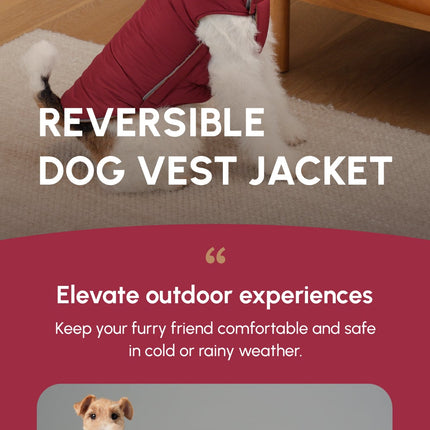 Dog wearing a reversible vest jacket with promotional text and images of dogs in different vests.