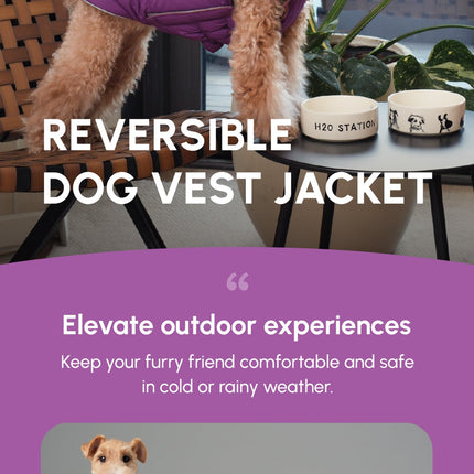 Dog wearing a reversible vest jacket with promotional text and images of dogs in different vests.