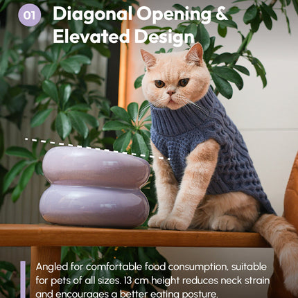 Cat wearing a blue sweater sitting on a wooden surface with text about diagonal opening and elevated design.
