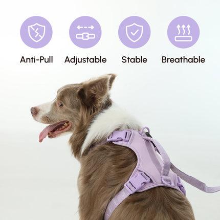 Dog wearing a purple harness with features listed above on a white background