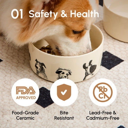 Dog eating from a ceramic bowl with safety and health certification logos displayed.