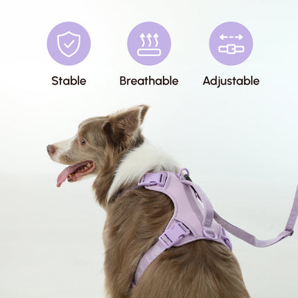 Padded Active Pet Leash – Soft Grip