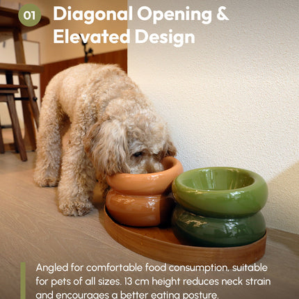 Dog drinking from a ceramic bowl with text about diagonal opening and elevated design.