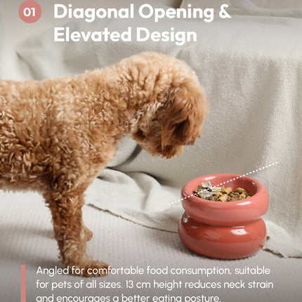 Dog eating from a pink elevated pet feeder with text highlighting design features.