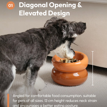 Dog eating from an elevated orange pet bowl with text about diagonal opening and elevated design.