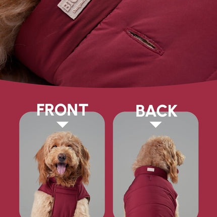 Dog coat with reflective detailing and security leash hole, shown from front and back, on a red background.