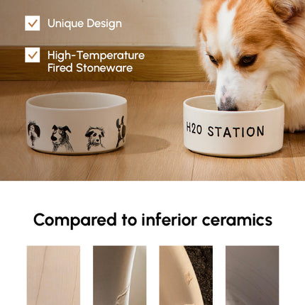 Dog drinking from a high-quality ceramic bowl with text highlighting features and durability compared to inferior ceramics.