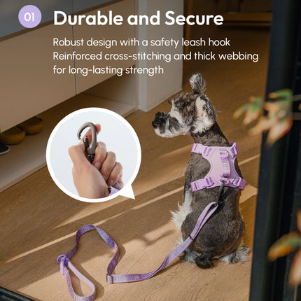 Padded Active Pet Leash – Soft Grip