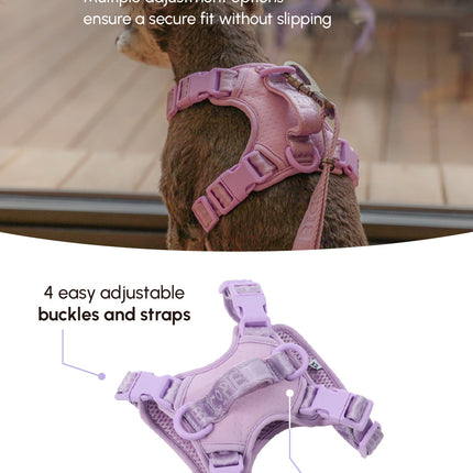 Pink dog harness with adjustable features on a blurred background