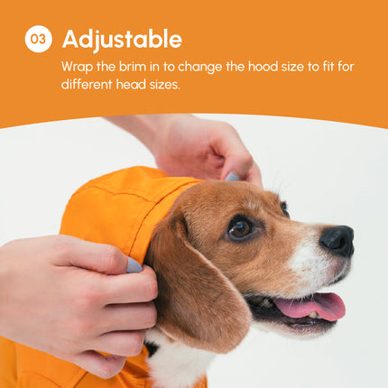 Dog wearing an adjustable egg yolk yellow hood with a person adjusting it, on a white background.
