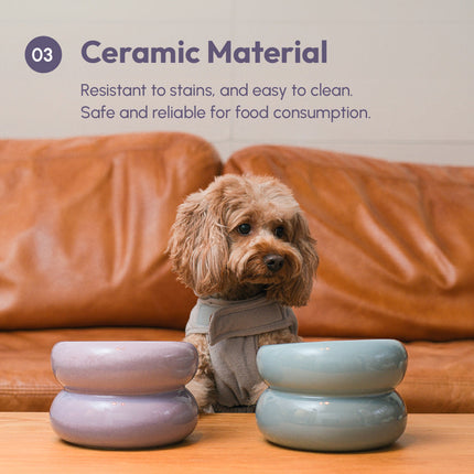 Ceramic pet bowls on a table with a dog in front of a brown couch, emphasizing ceramic material's benefits.
