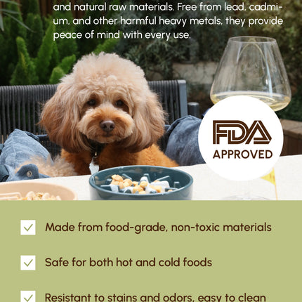 Dog sitting on a couch with food and a glass, surrounded by text about food-grade safety and FDA approval.