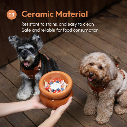 Two dogs looking at a ceramic dog bowl filled with food on a wooden floor.