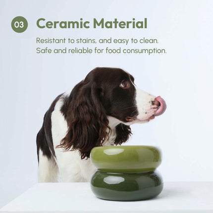 Dog drinking from a green ceramic bowl with text about ceramic material properties.