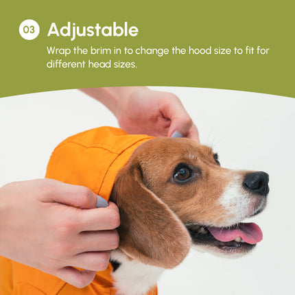 Dog wearing an egg yolk yellow hood with hands adjusting it, on a white background.