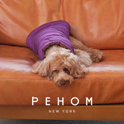 Dog wearing a purple coat on an orange couch with 'PEHOM New York' branding.