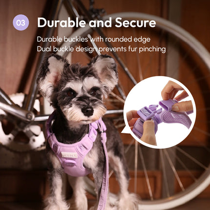 Dog wearing a purple harness with a bicycle in the background, highlighting durability and security features.