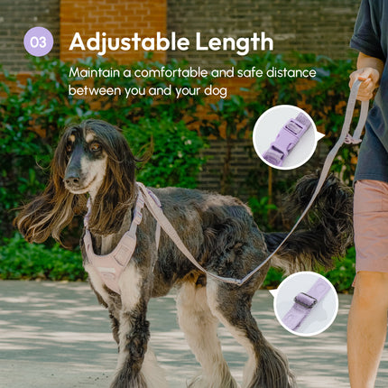 Padded Active Pet Leash – Soft Grip