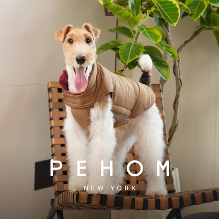 Dog wearing a beige coat on a chair with 'PEHOM New York' branding