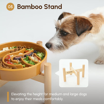 Dog eating from a elevated bamboo stand with a bowl of food, on a light gray background.