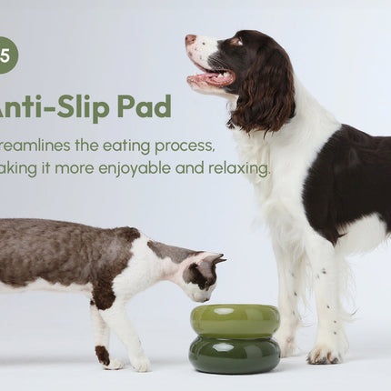 Dog and cat interacting with a green pet feeding bowl on a light gray background