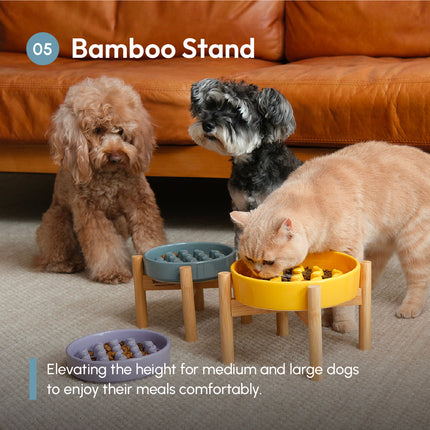 Three dogs around elevated pet feeding stations on a carpeted floor with an orange couch in the background.