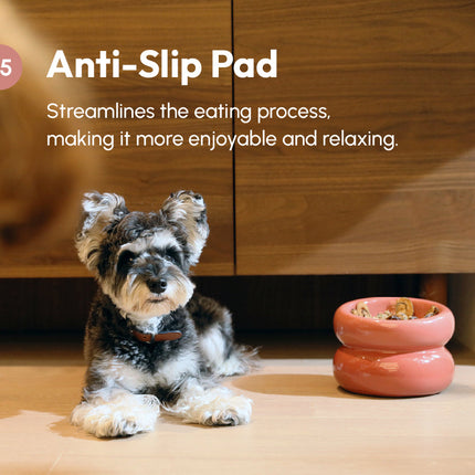 Dog sitting next to a pink pet bowl on a wooden floor with text about an anti-slip pad.