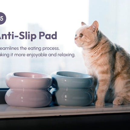 Cat sitting next to two ceramic bowls on a surface with text about an anti-slip pad.