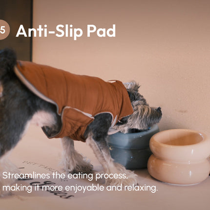 Dog wearing a brown anti-slip pad on a beige floor with pet bowls.
