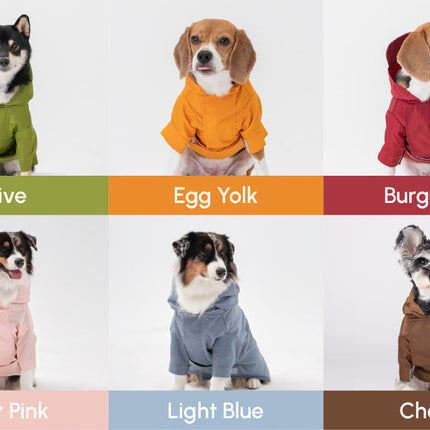 Six dogs wearing hoodies in different colors with color labels below.