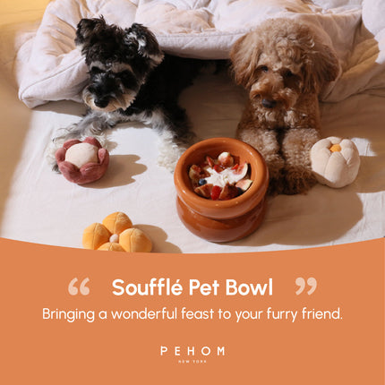 Two dogs with a bowl of food on a bed, featuring the 'Souffle Pet Bowl' by PEHOM.